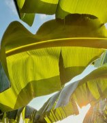 别被化妆品成分表难住！化妆品选购不盲目｜上海市消保委美丽健康专业办