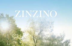 牵手“有赞”！圣希诺Zinzino进军中国市场首月销售额近百万